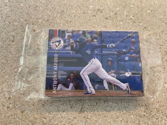 2016 Dunedin blue jays set