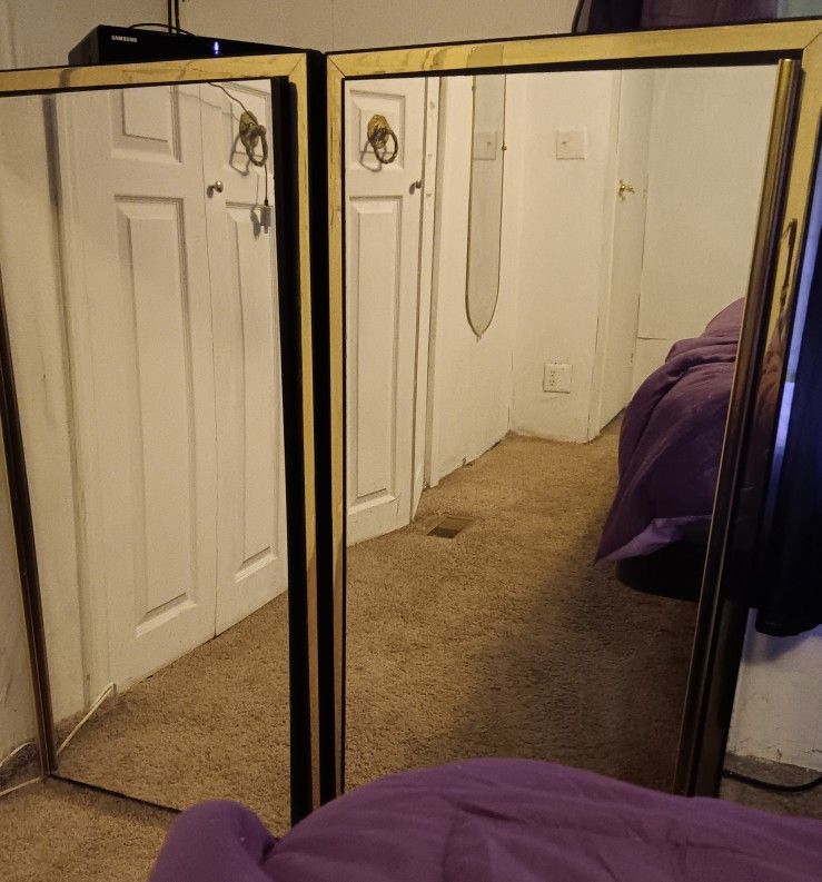 Mirrord Shelved Cabinets With Gold Trim