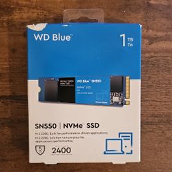 WD Blue 1TB SSD