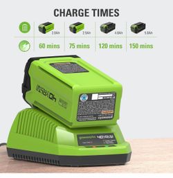 Greenworks 40V Lithium-Ion Battery Charger (Genuine Greenworks Charger)