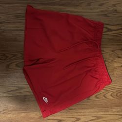 Nike Shorts Swim Pants Size Small 