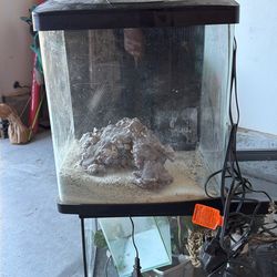 Salt Water Fish Tank