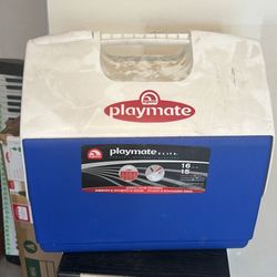 Blue Igloo Playmate Elite 16 Qt Cooler