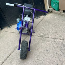 Gts Roller Mini Bike 212cc  Dark Purple With Sparkles 