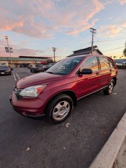 1999 Honda Cr-V