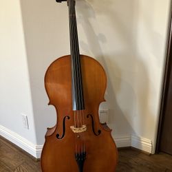 Eastman VC200 Full Size (4/4) Cello