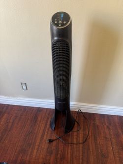 Fan