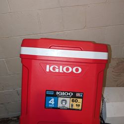 Igloo Cooler 60qt
