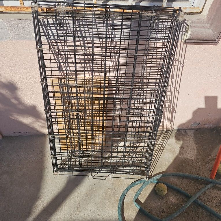 Dog Cage