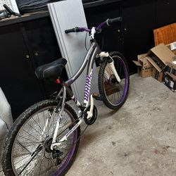 🚲 Girls / Youth Mountain Bike – Like New Condition