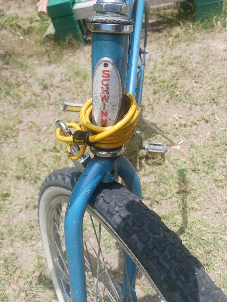 Beach Cruiser