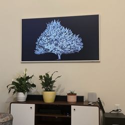 Tv Mount Any Size Tv