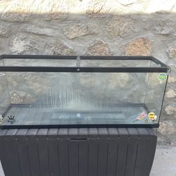 55 Gallon Fish Turtle Tank