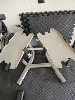 Bowflex stand dumbells