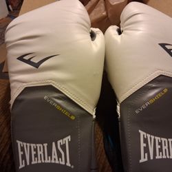 Pro Boxing Gloves