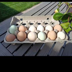 Oganic Farm Fresh Eggs Delhi