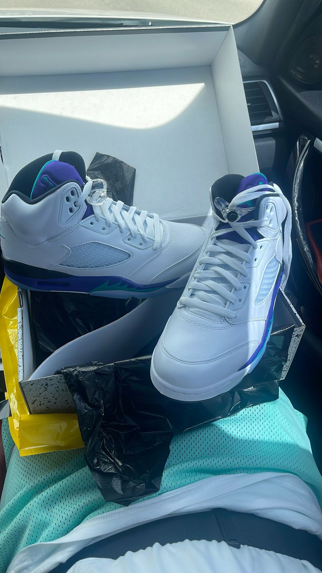 Jordan 5 Grapes