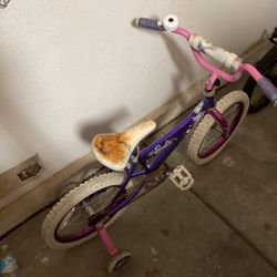 Girls Bike With Training Wheels 