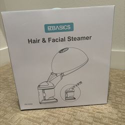 Hair And Facial Steamer