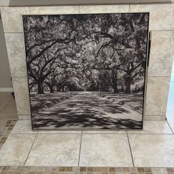 Picture For Hanging On Wall 3’ X 3’