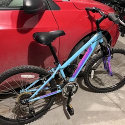 Nishiki Bike