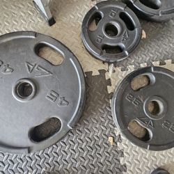 Olympic Rubber Coated Plates 315 Lbs