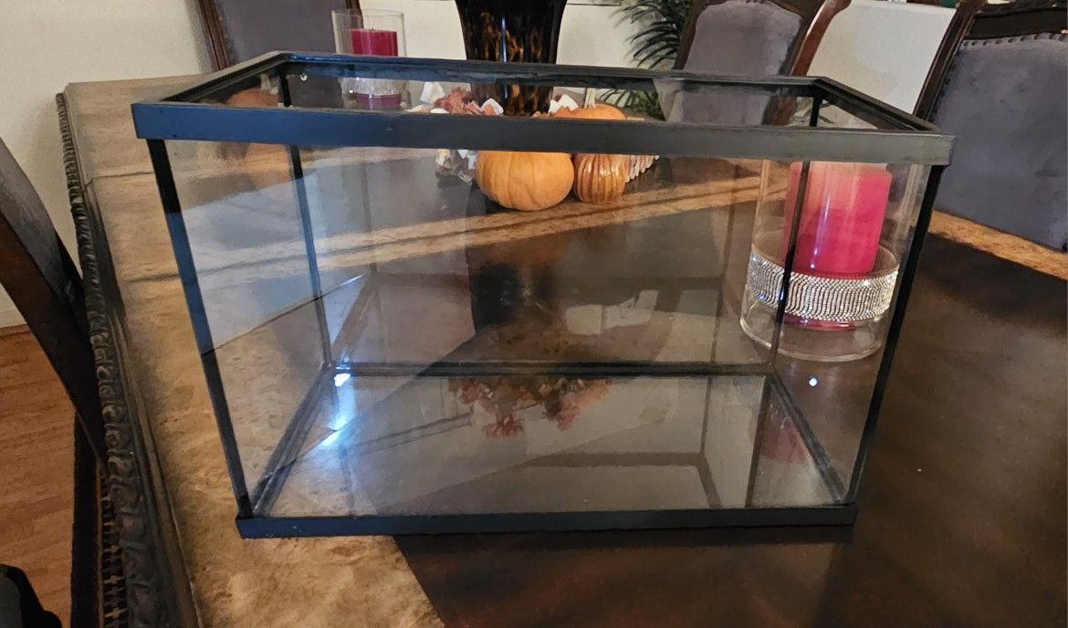 🐠 6 Gallon Fish Tank – Great Condition! 🐟