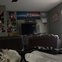 2 TVs Not Smart 