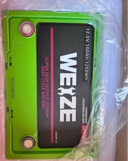 WEIZE 12V 100Ah Mini LiFePO4
