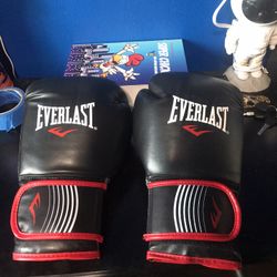 Everlast Boxing Gloves 