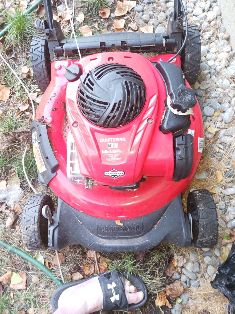 Comes With Bag.  Brand New Mower 