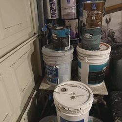 GALLON PAINTS $10 EACH