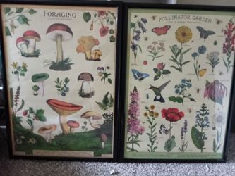 Framed Wall Art