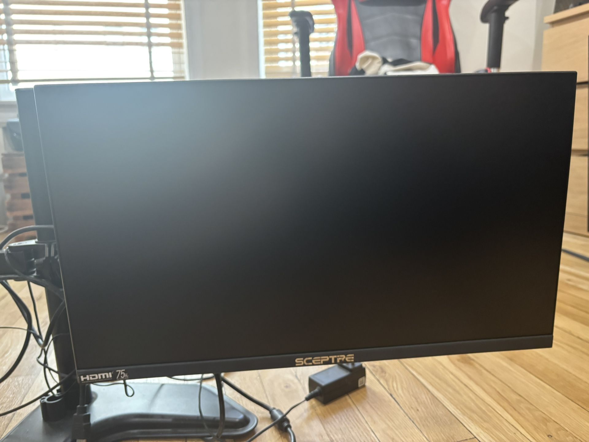 Dual Sceptre 24” Monitor Setup -$120