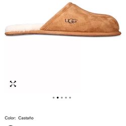Ugg Slippers Men