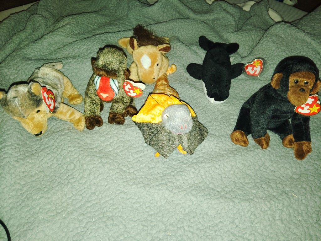 Beanie Babies