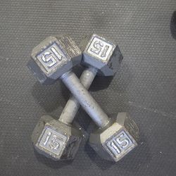 15 pounds dumbbells set solid hex dumbbells set weight Weightlift Excercise Workout 15lbs