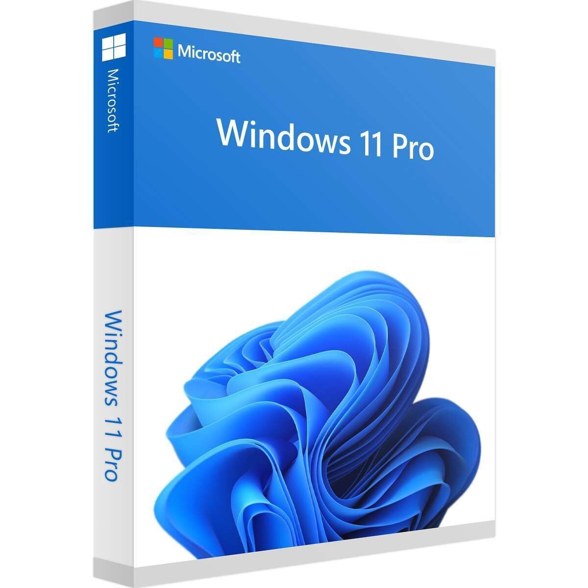 Windows 11 Pro + 32 GB Flash Drive