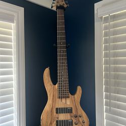 6 String Bass