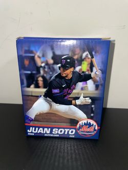 Juan Soto BobbleCard