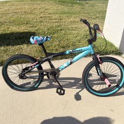 Selling a 20-inch bicycle.