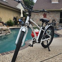 Sohoo Electric His and Hers Bikes 