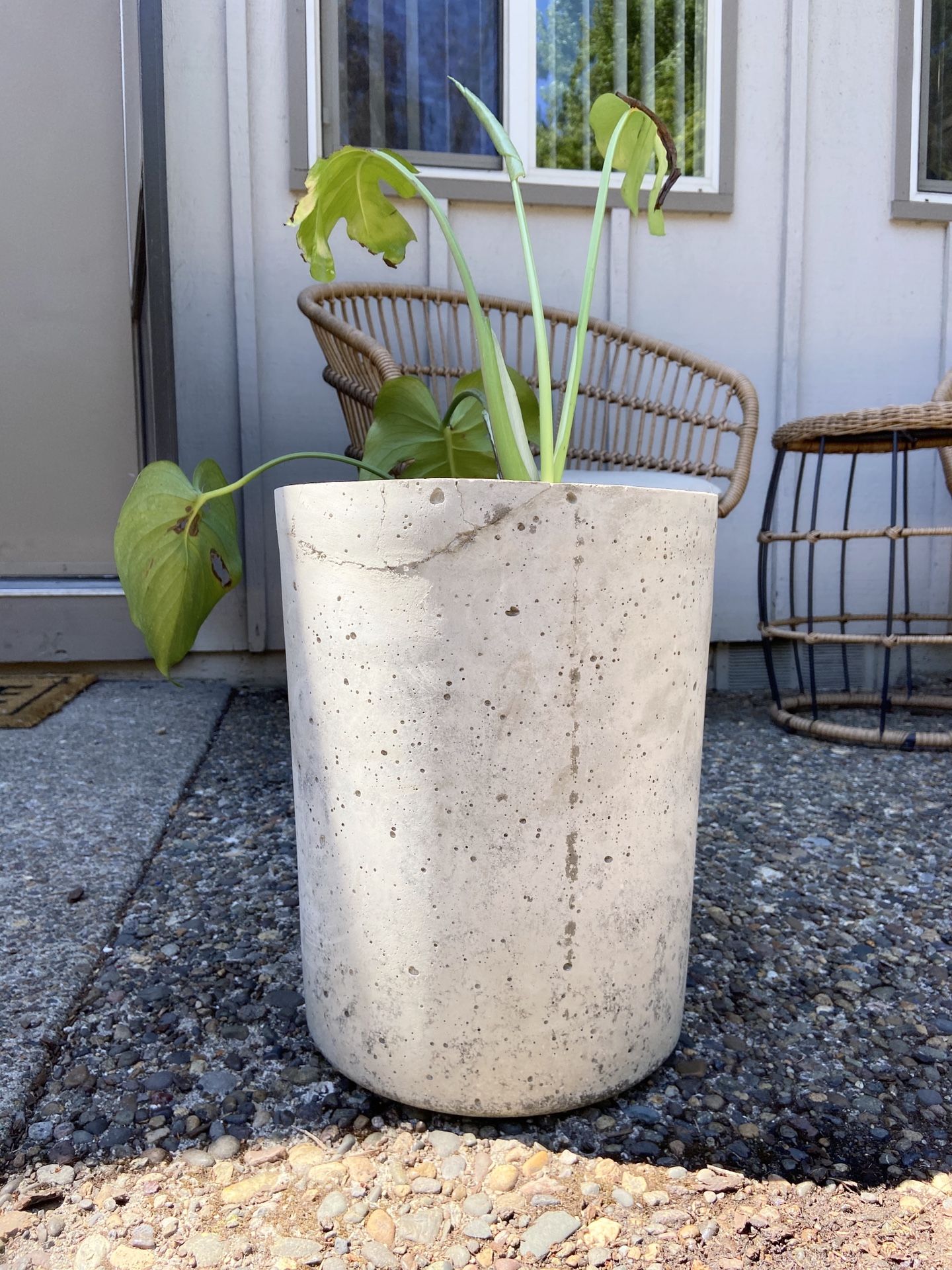 Huge Handmade indoor / outdoor plant / flower cement pot