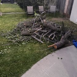 FREE Firewood (You Haul) – Delivery Available