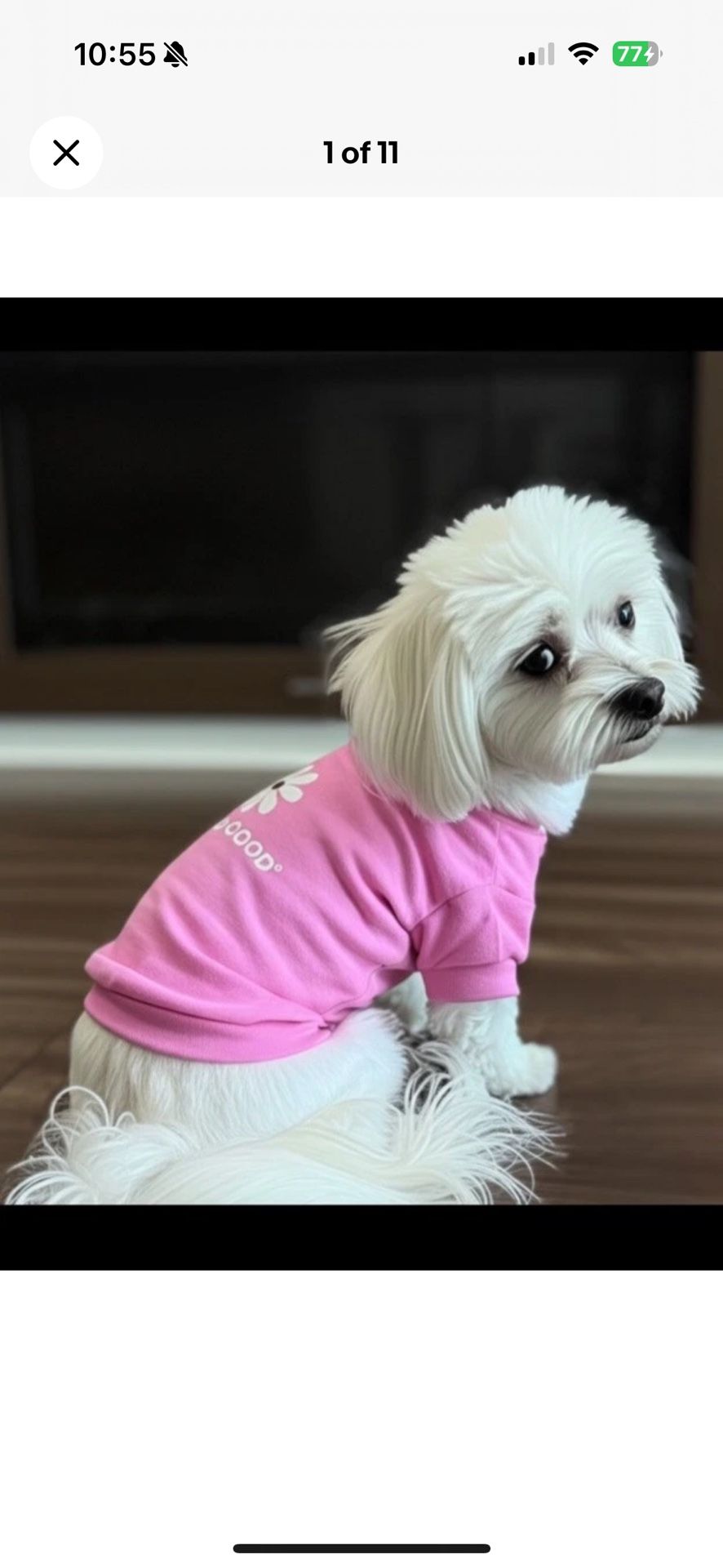 Life is Good Dog Pink Flower T-Shirt Small Dogs 5-7 Pounds Maltese, Poodle Pets