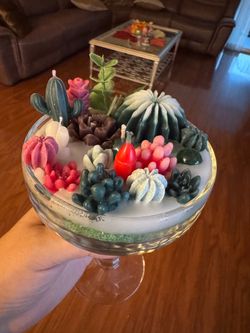 Very Beautiful, colorful succulent candles in a glass ❤️