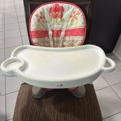 Mealtime Booster Seat