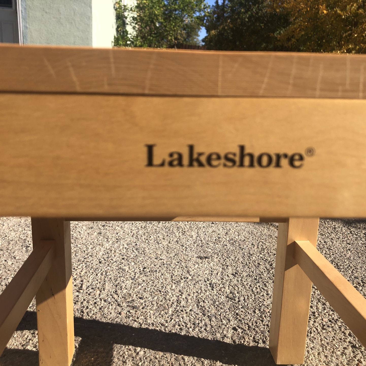 Lakeshore desk Chairs