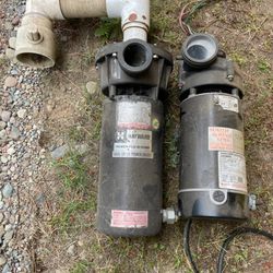 Jacuzzi Pumps