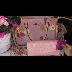 Coach Bag And Wallet 